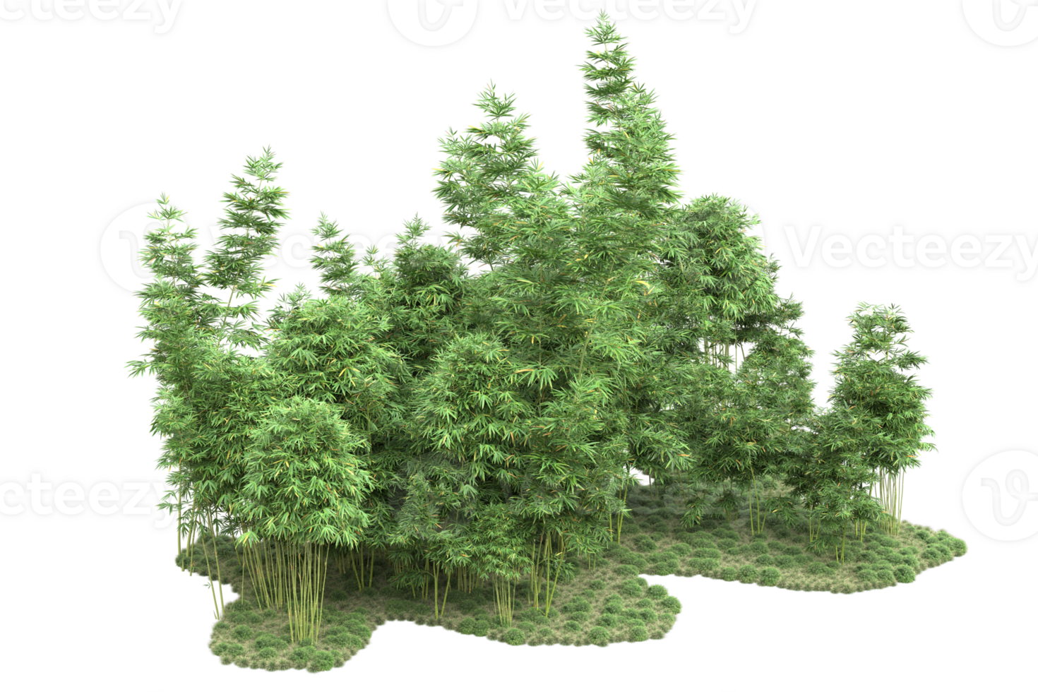Realistic forest isolated on transparent background. 3d rendering - illustration png
