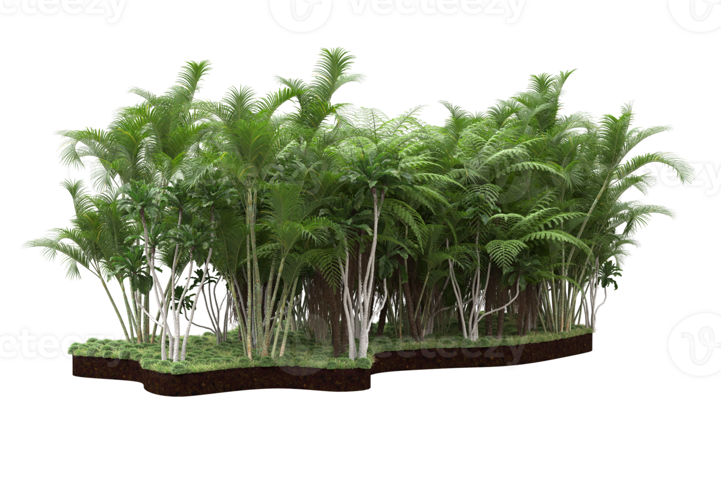 Realistic forest isolated on transparent background. 3d rendering - illustration png