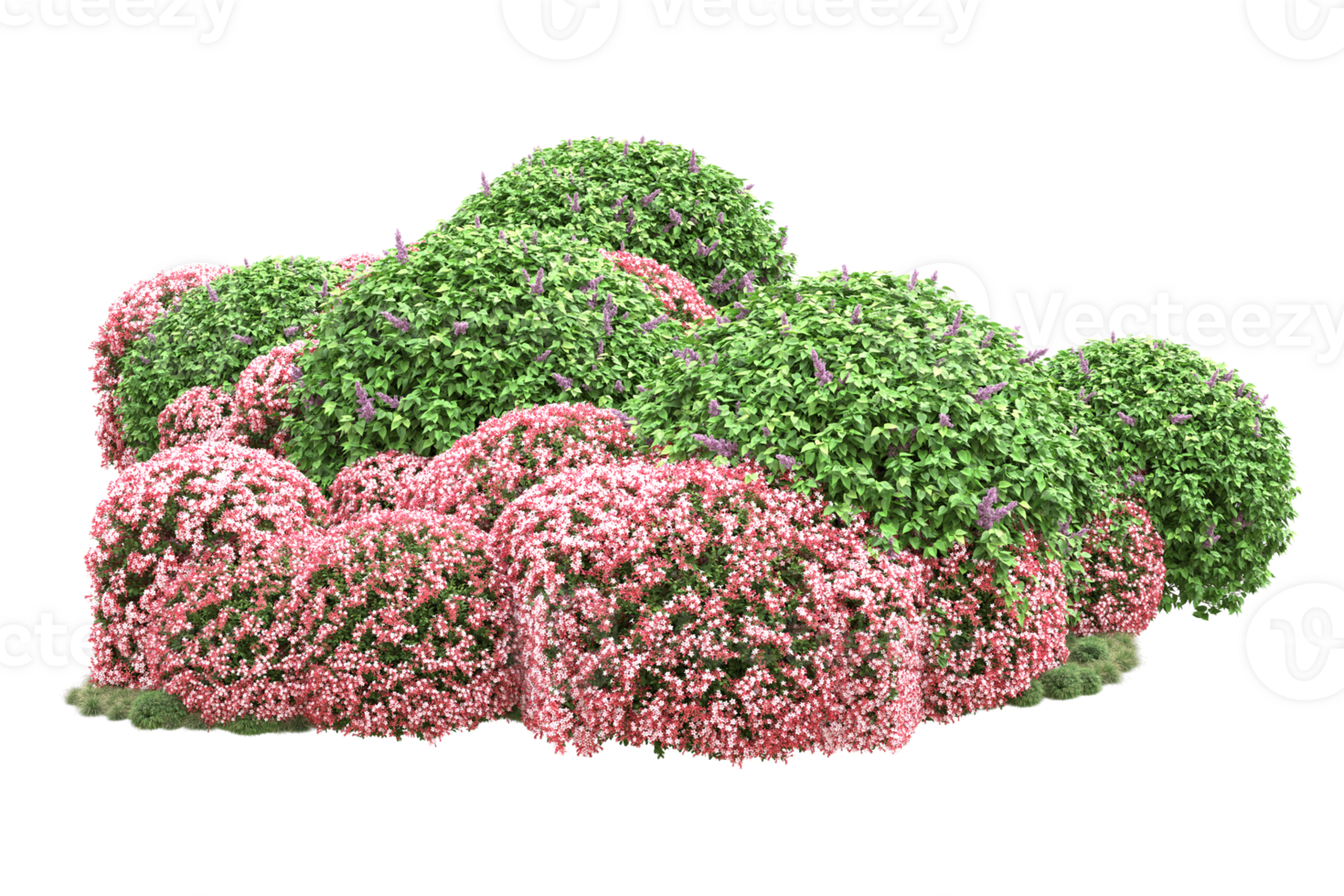 Realistic forest isolated on transparent background. 3d rendering - illustration png