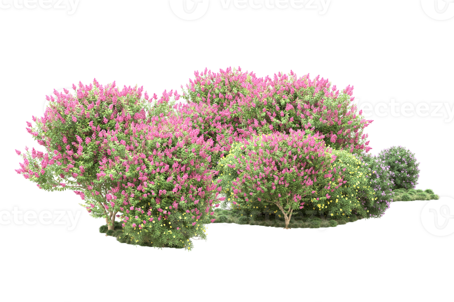 Realistic forest isolated on transparent background. 3d rendering - illustration png