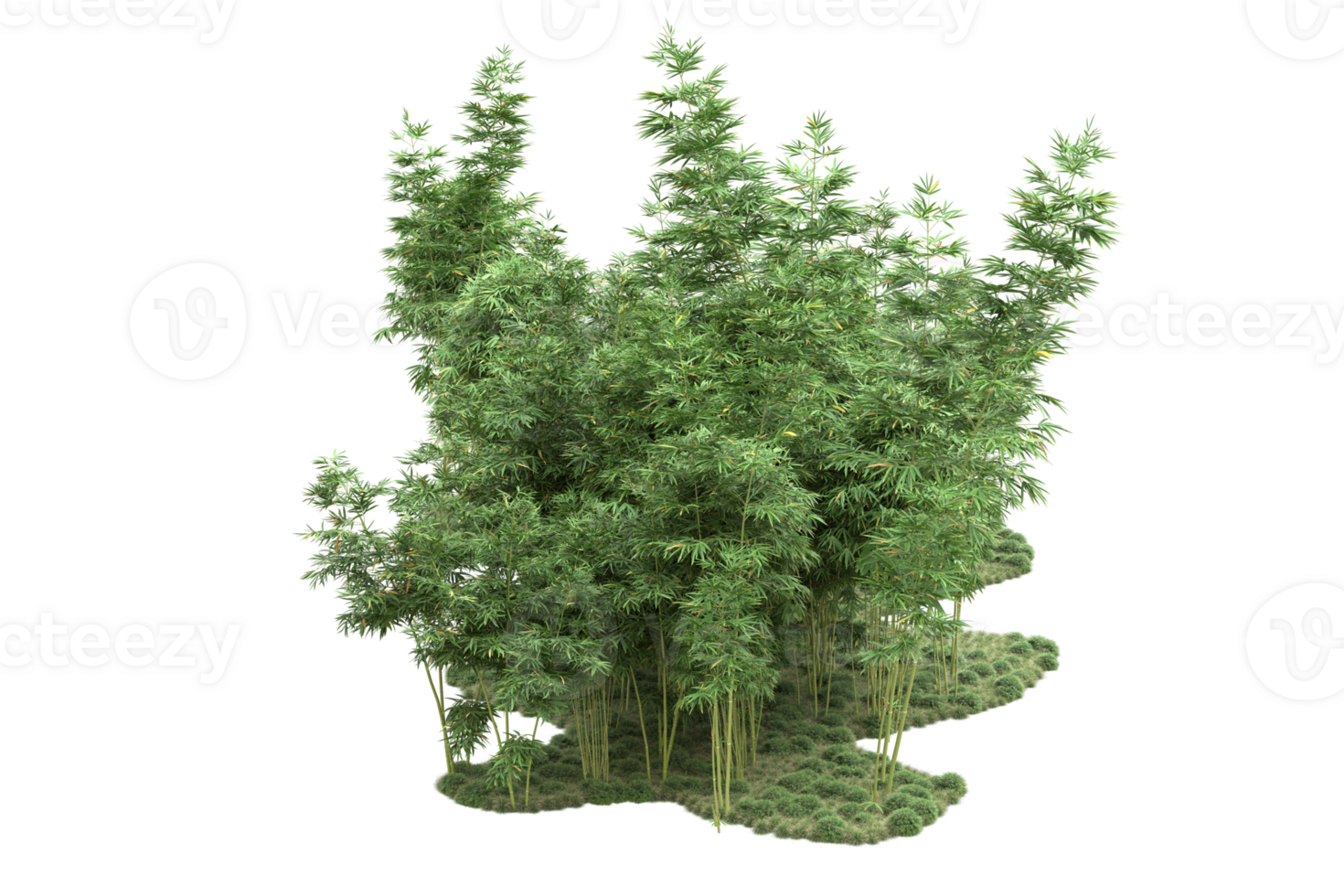 Realistic forest isolated on transparent background. 3d rendering - illustration png