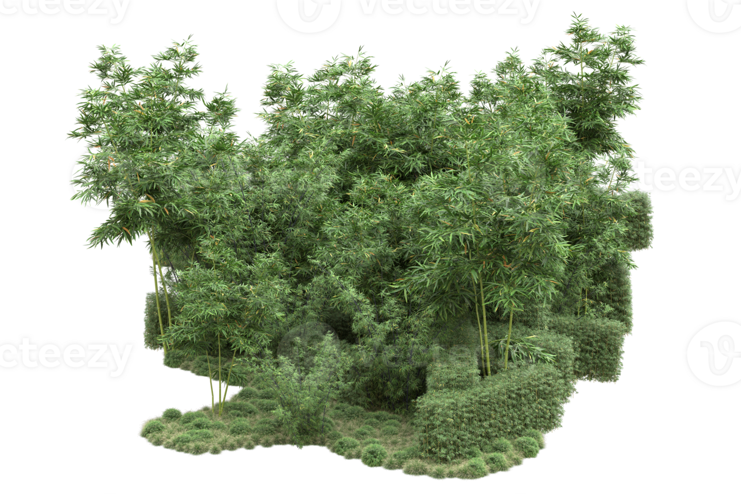 Realistic forest isolated on transparent background. 3d rendering - illustration png