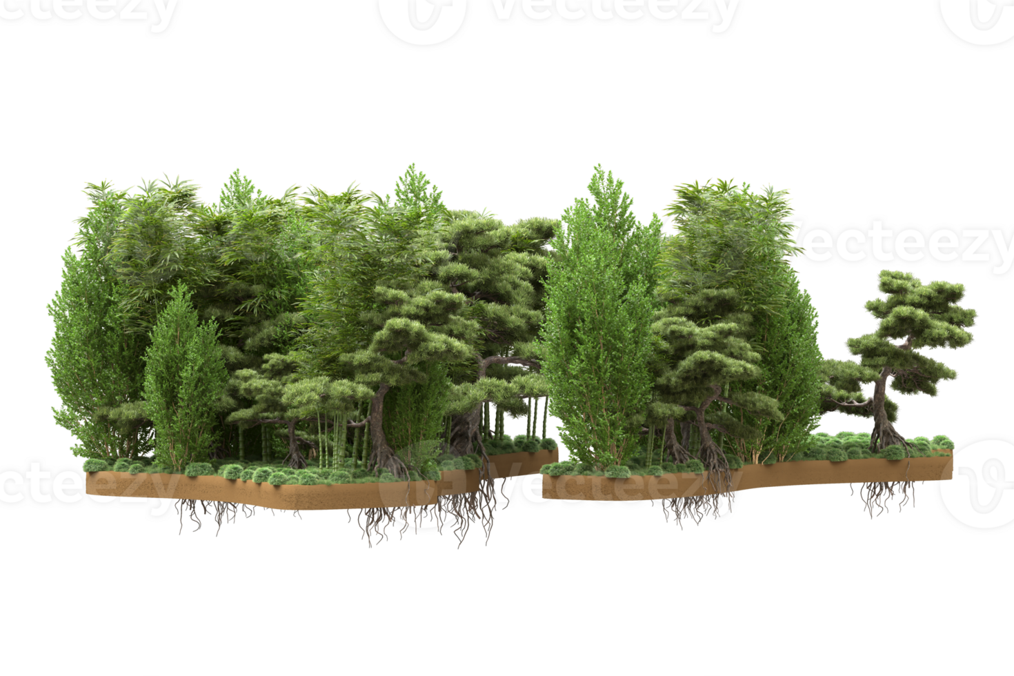 Realistic forest isolated on transparent background. 3d rendering - illustration png