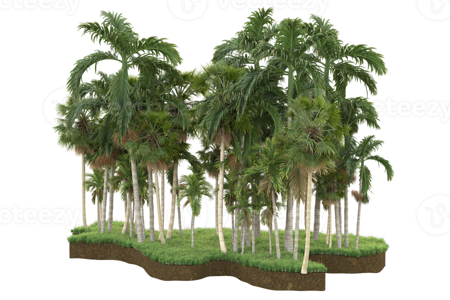 Realistic forest isolated on transparent background. 3d rendering - illustration png