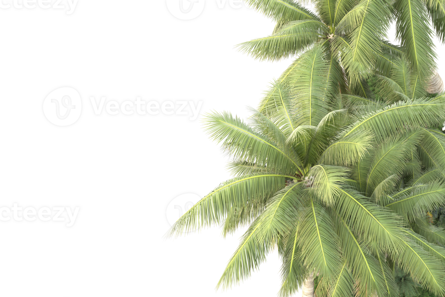 Realistic forest isolated on transparent background. 3d rendering - illustration png