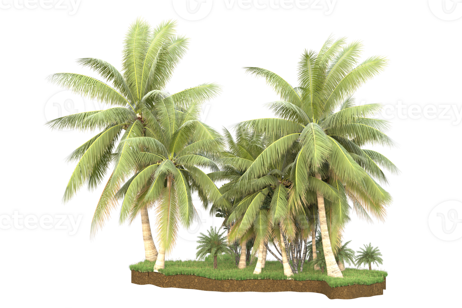 Realistic forest isolated on transparent background. 3d rendering - illustration png