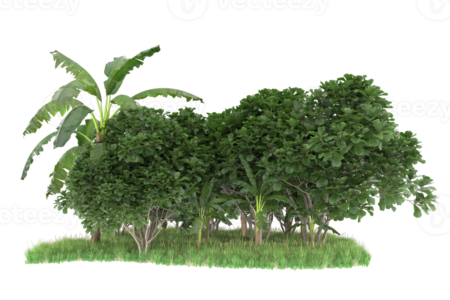 Realistic forest isolated on transparent background. 3d rendering - illustration png