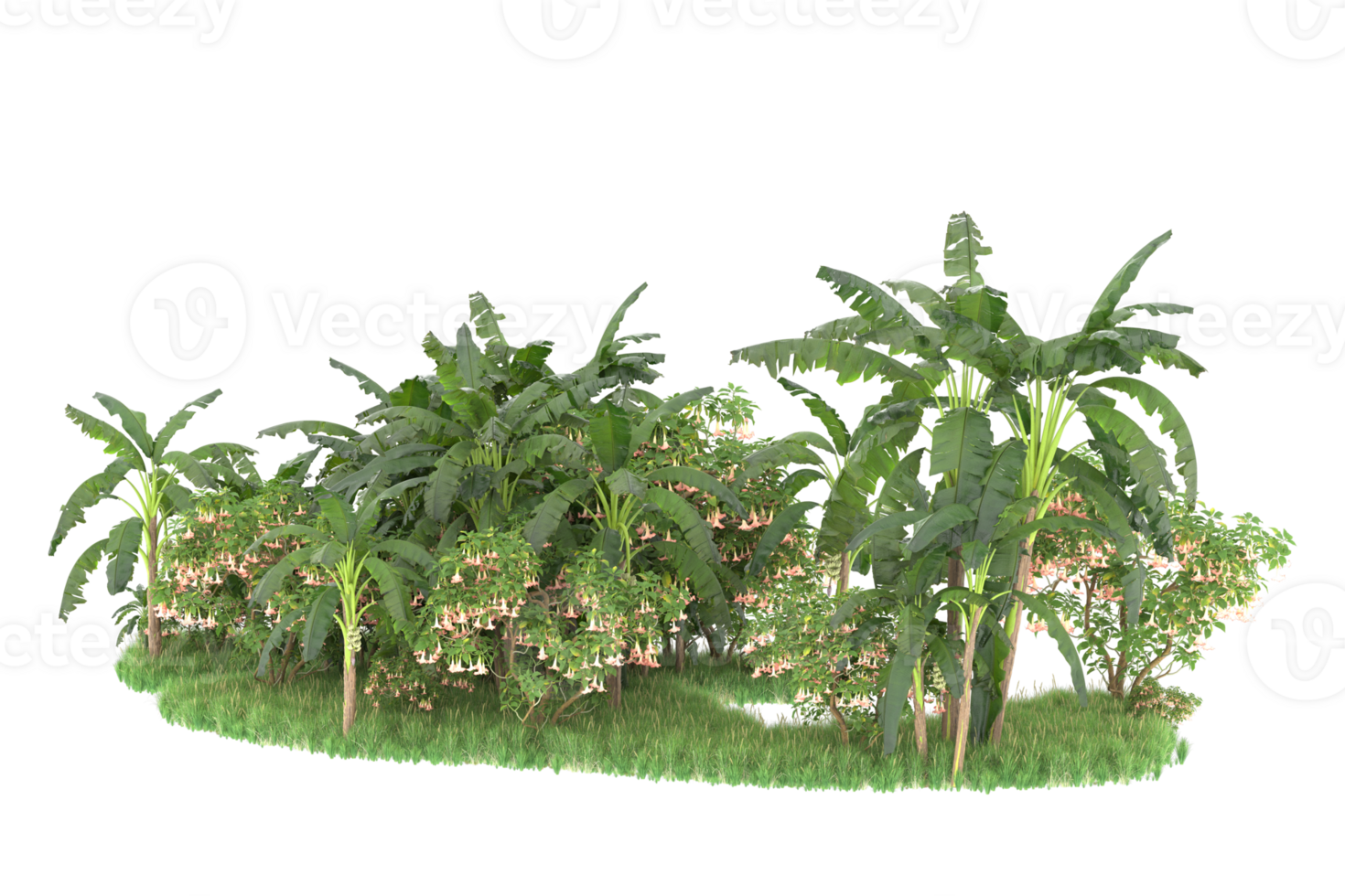 Realistic forest isolated on transparent background. 3d rendering - illustration png
