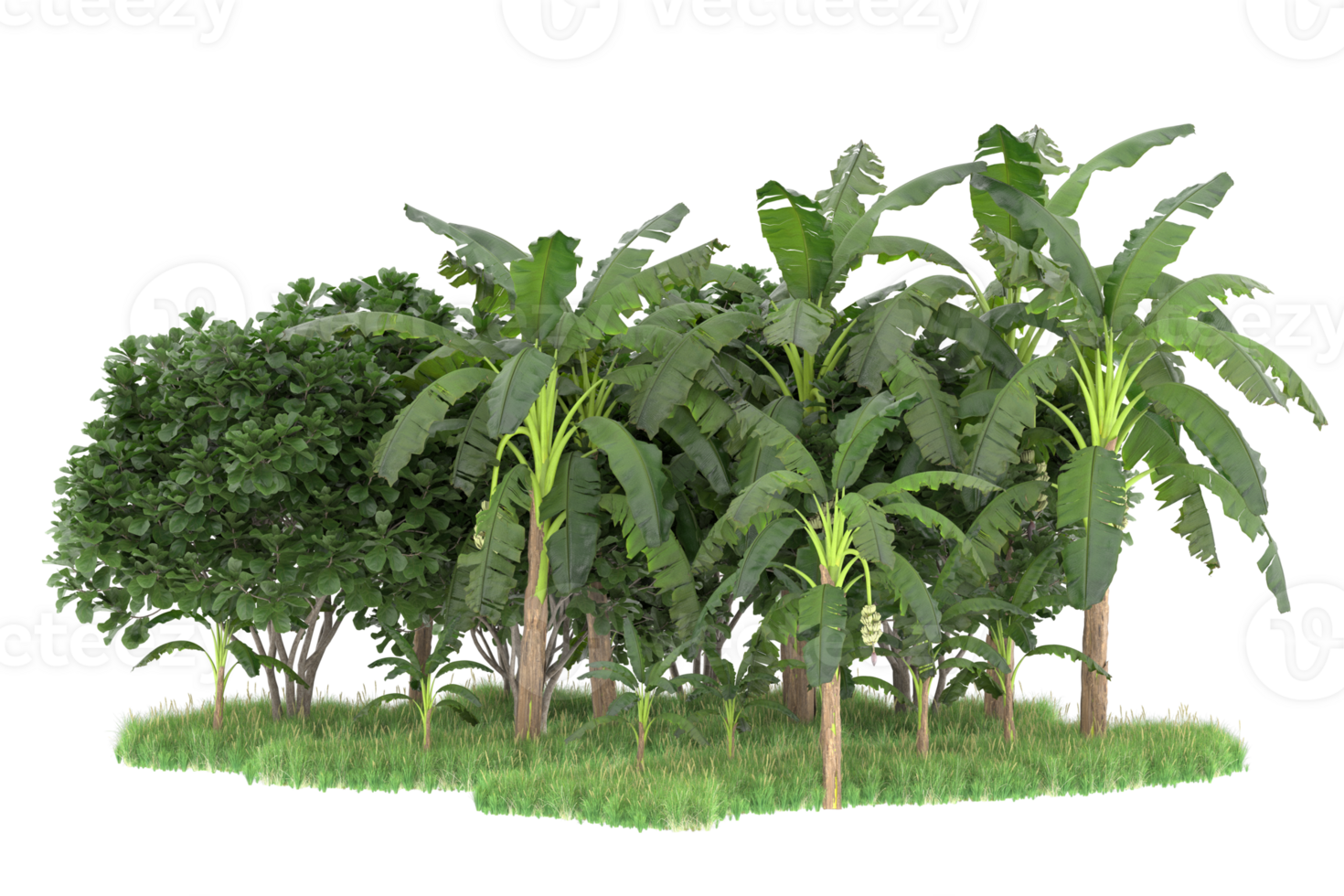 Realistic forest isolated on transparent background. 3d rendering - illustration png