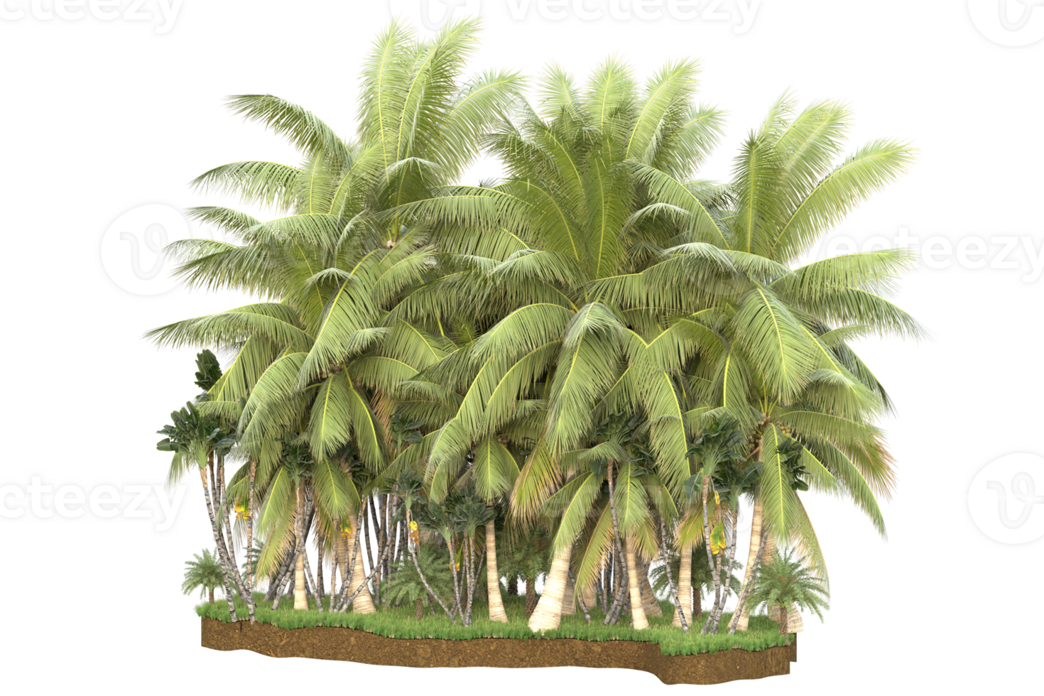 Realistic forest isolated on transparent background. 3d rendering - illustration png