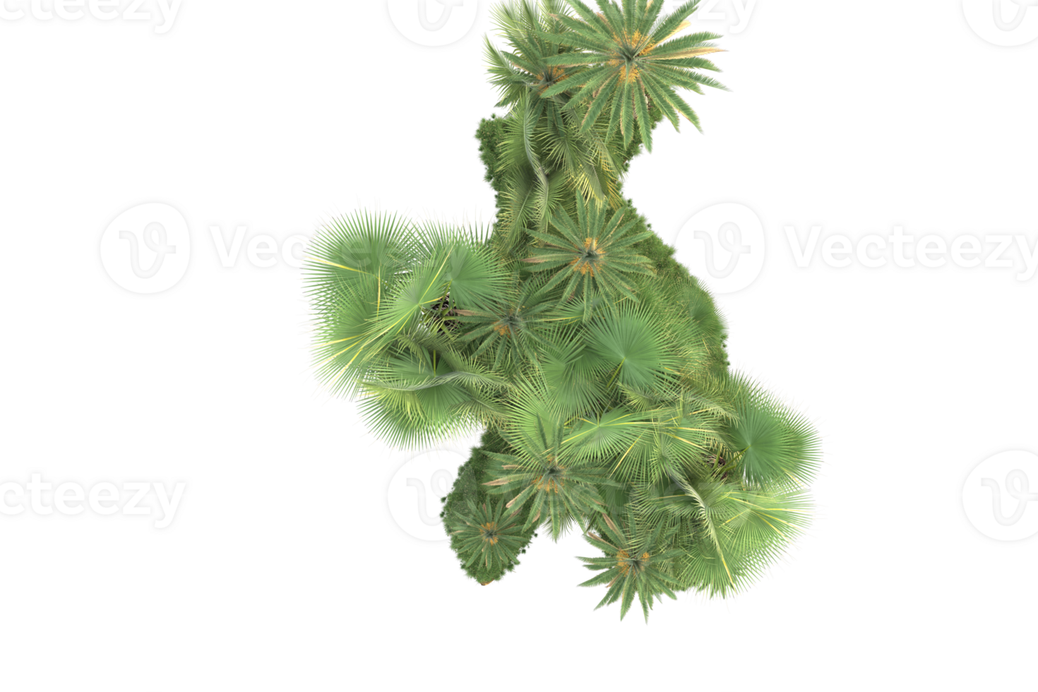 Realistic forest isolated on transparent background. 3d rendering - illustration png