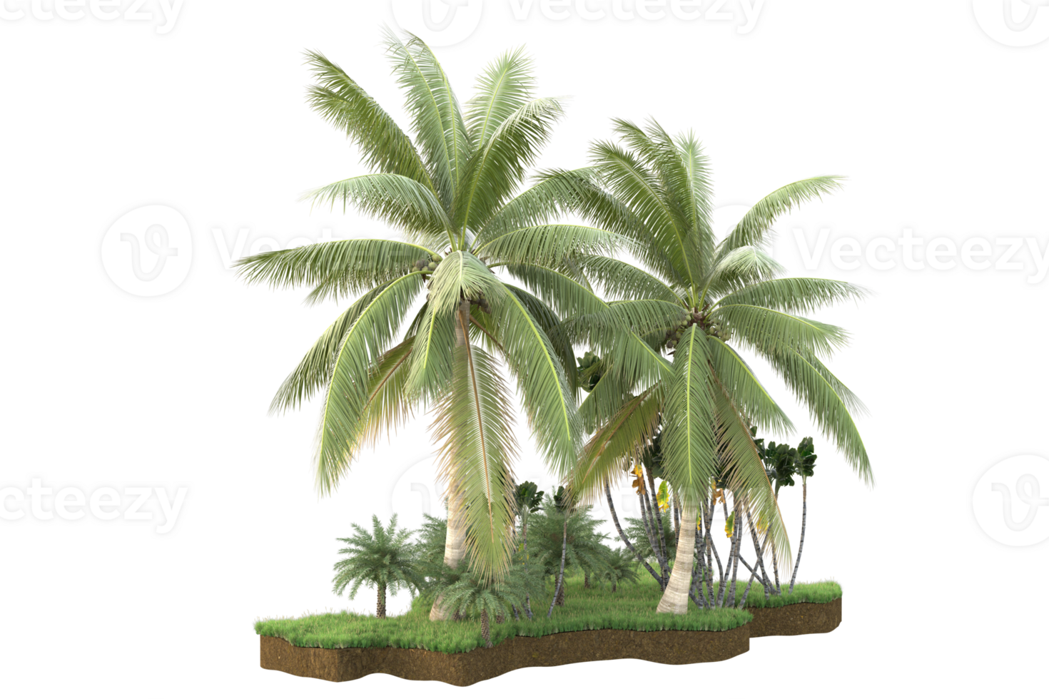 Realistic forest isolated on transparent background. 3d rendering - illustration png