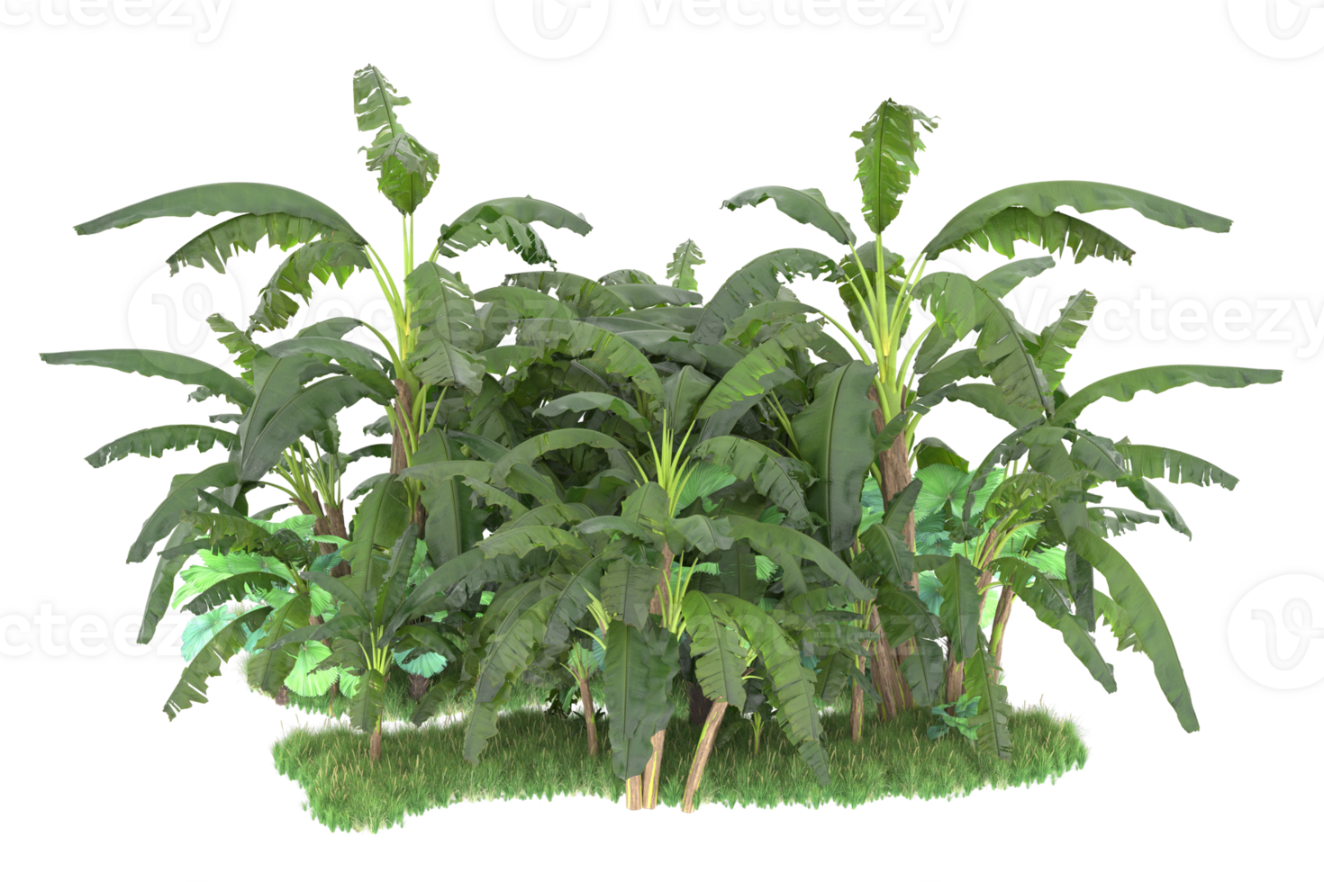 Realistic forest isolated on transparent background. 3d rendering - illustration png