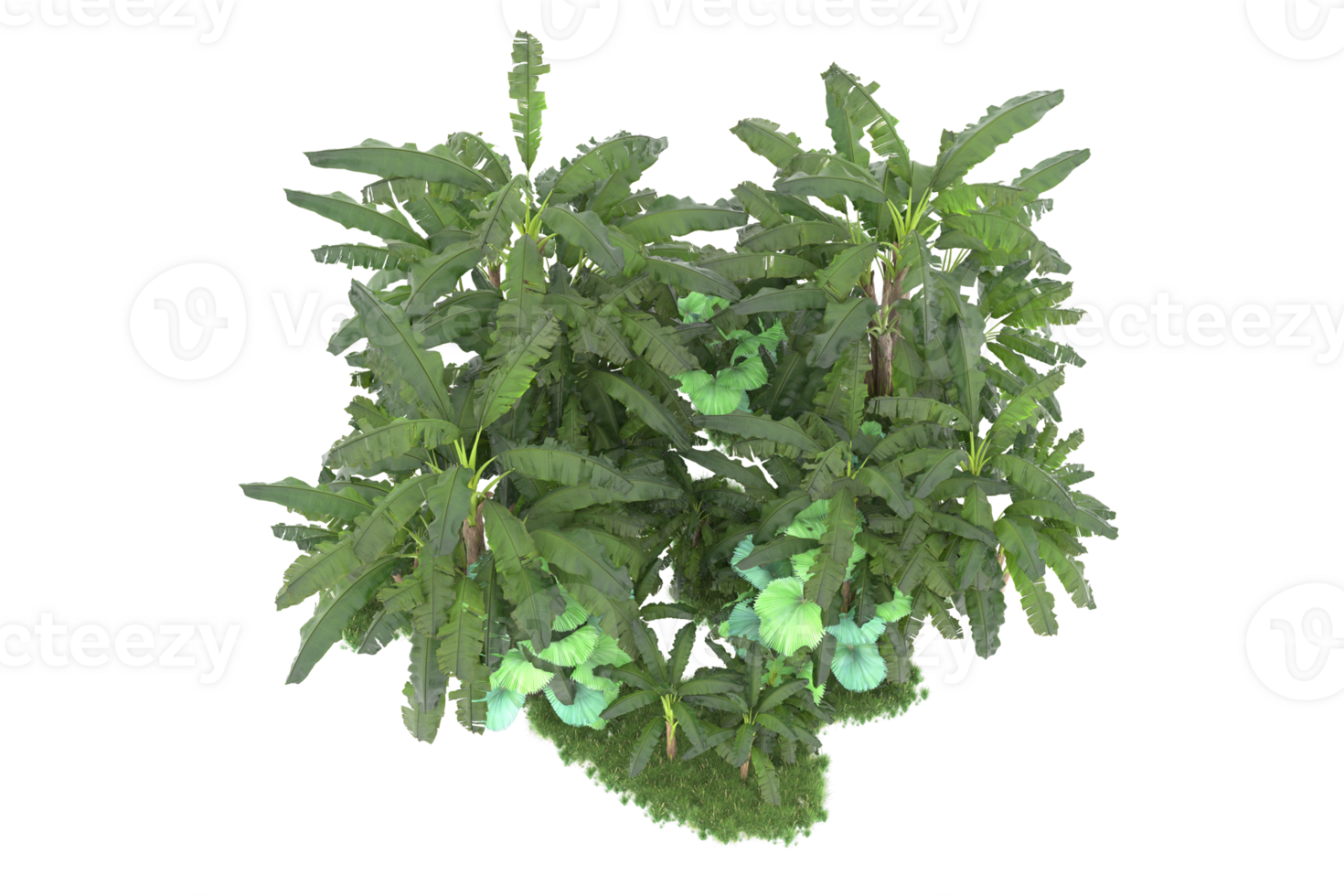 Realistic forest isolated on transparent background. 3d rendering - illustration png