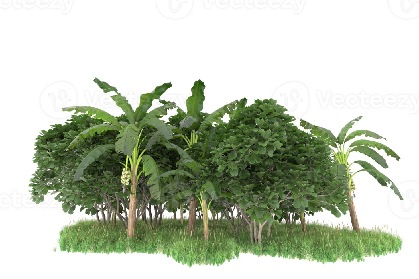Realistic forest isolated on transparent background. 3d rendering - illustration png