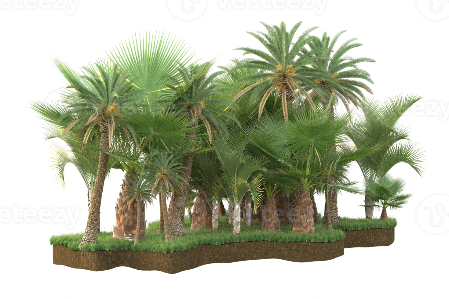 Realistic forest isolated on transparent background. 3d rendering - illustration png