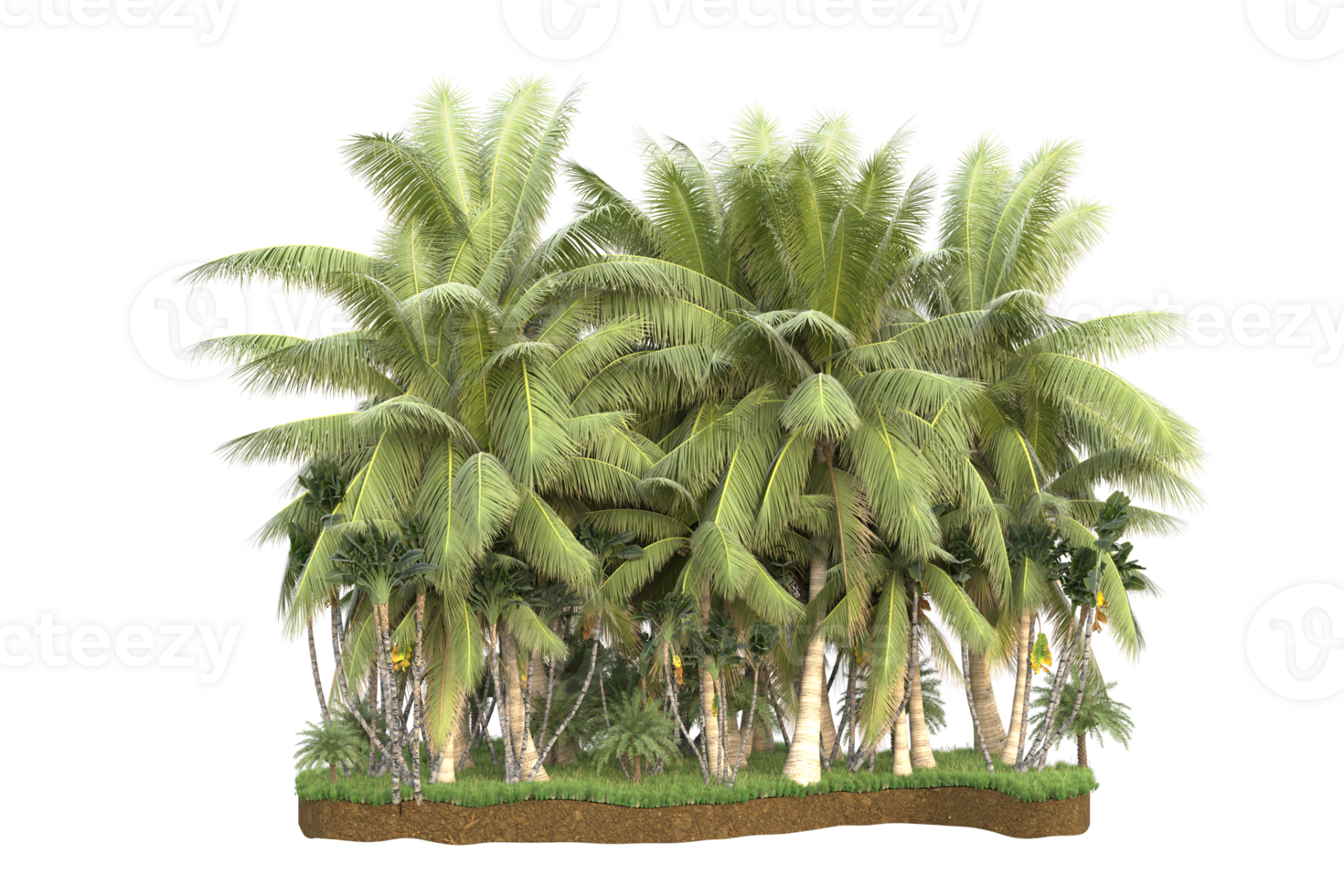 Realistic forest isolated on transparent background. 3d rendering - illustration png