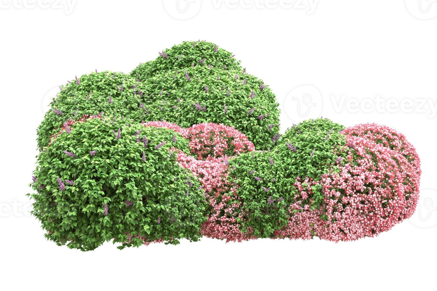 Realistic forest isolated on transparent background. 3d rendering - illustration png