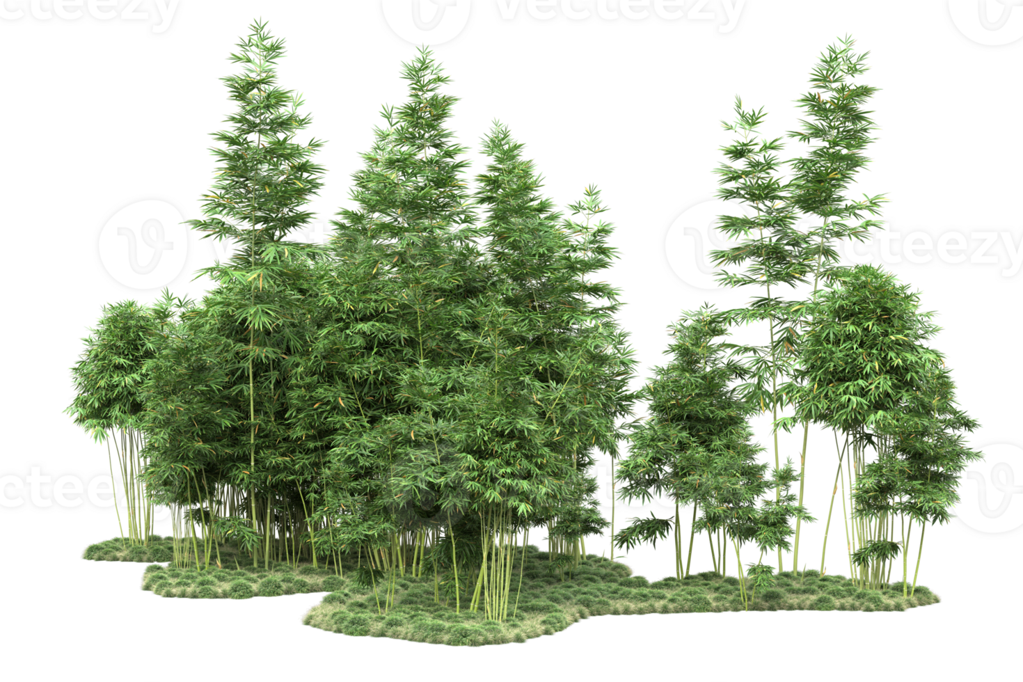 Realistic forest isolated on transparent background. 3d rendering - illustration png