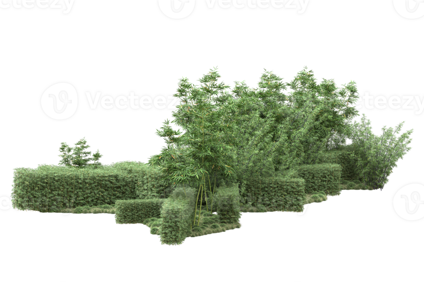 Realistic forest isolated on transparent background. 3d rendering - illustration png