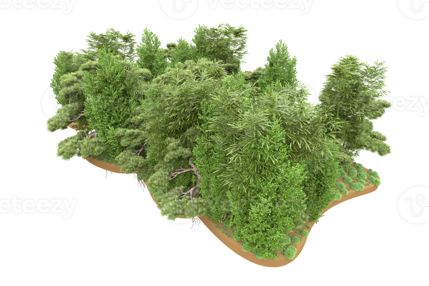 Realistic forest isolated on transparent background. 3d rendering - illustration png