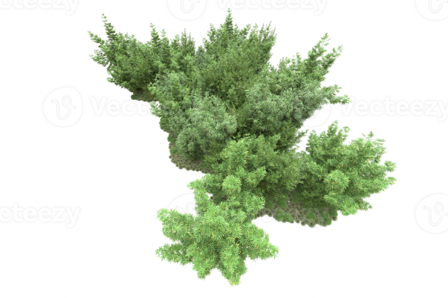 Realistic forest isolated on transparent background. 3d rendering - illustration png