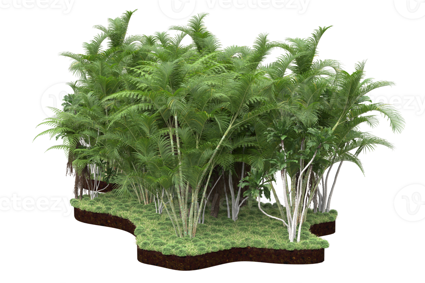 Realistic forest isolated on transparent background. 3d rendering - illustration png