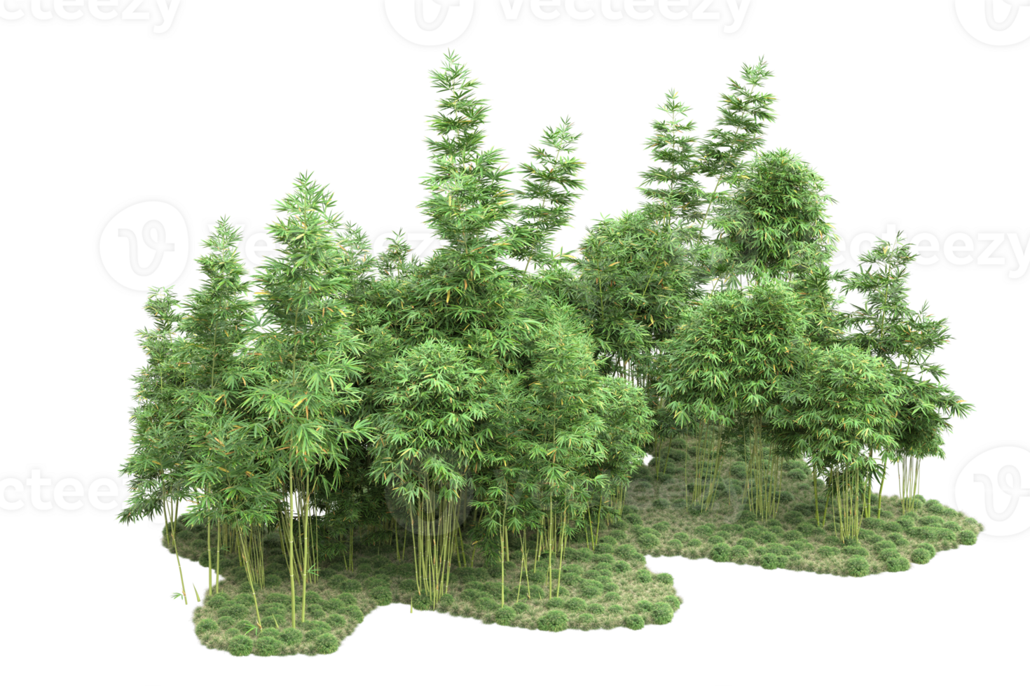 Realistic forest isolated on transparent background. 3d rendering - illustration png