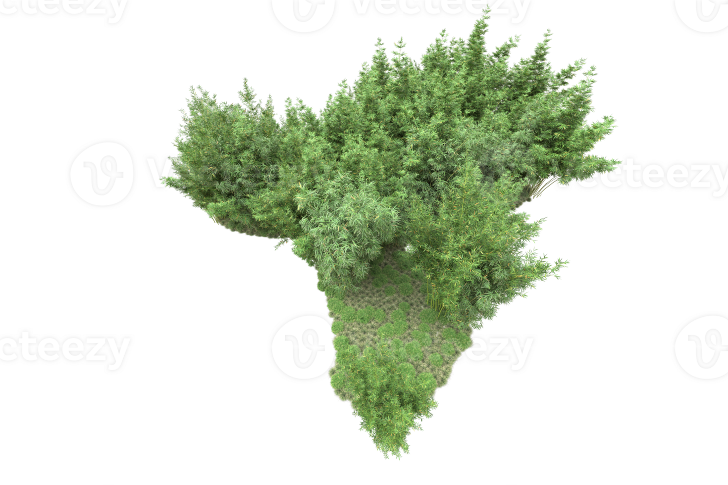 Realistic forest isolated on transparent background. 3d rendering - illustration png