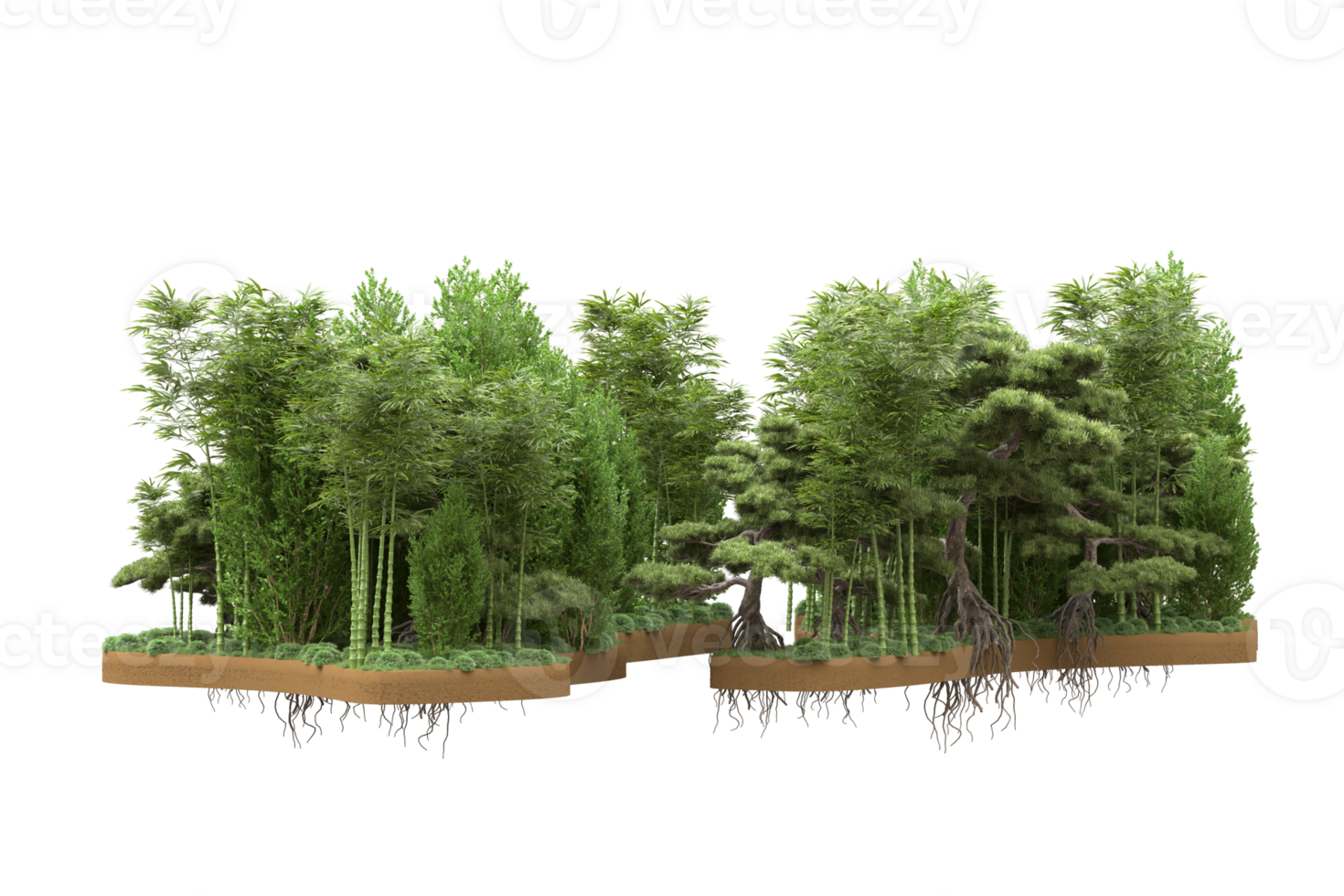 Realistic forest isolated on transparent background. 3d rendering - illustration png