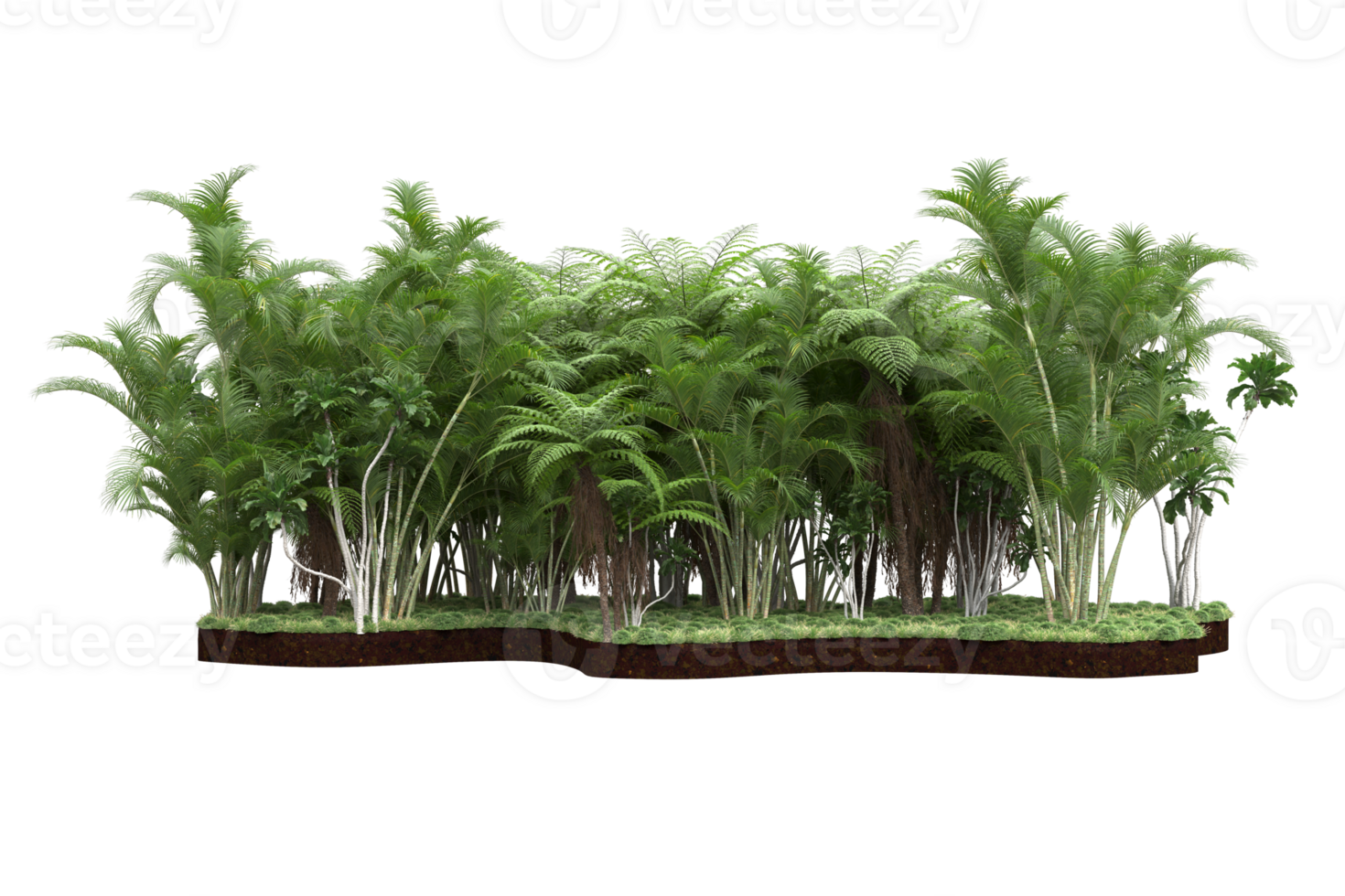Realistic forest isolated on transparent background. 3d rendering - illustration png