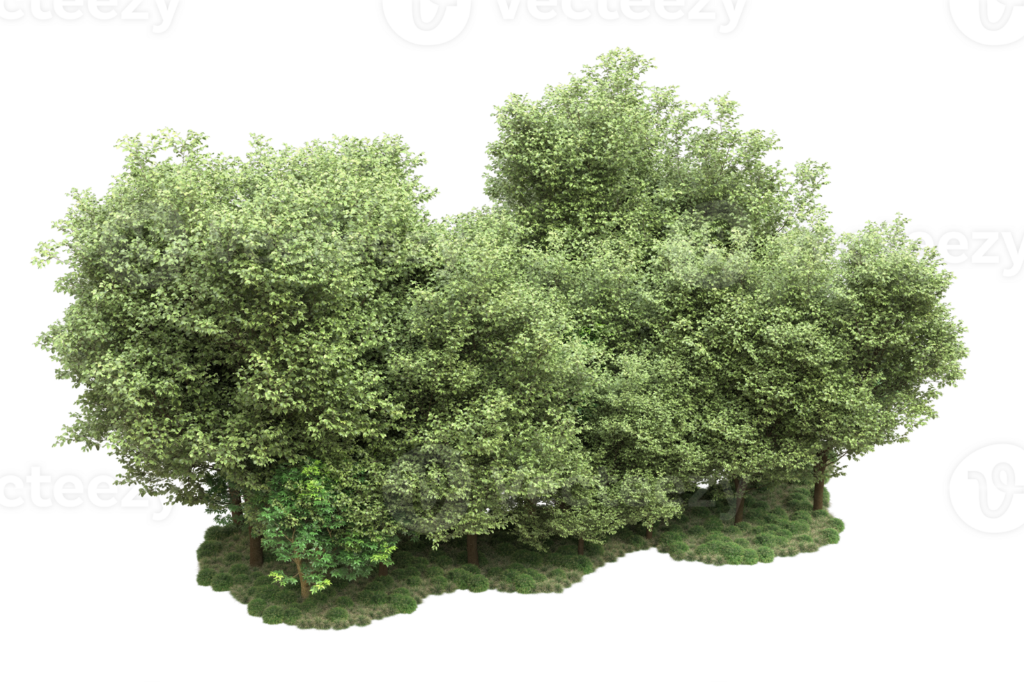Realistic forest isolated on transparent background. 3d rendering - illustration png