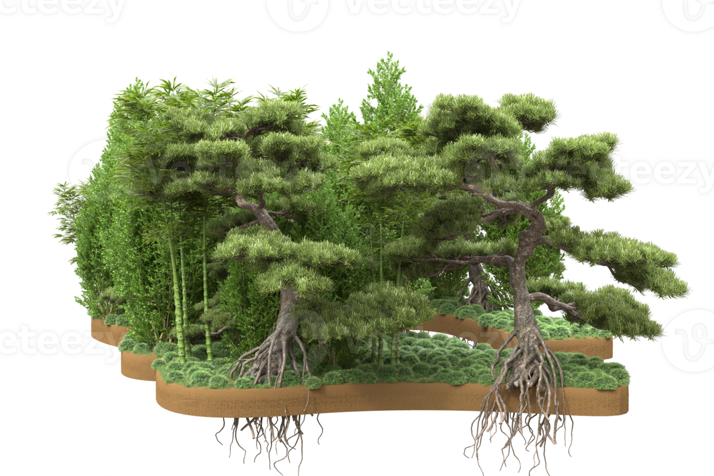 Realistic forest isolated on transparent background. 3d rendering - illustration png