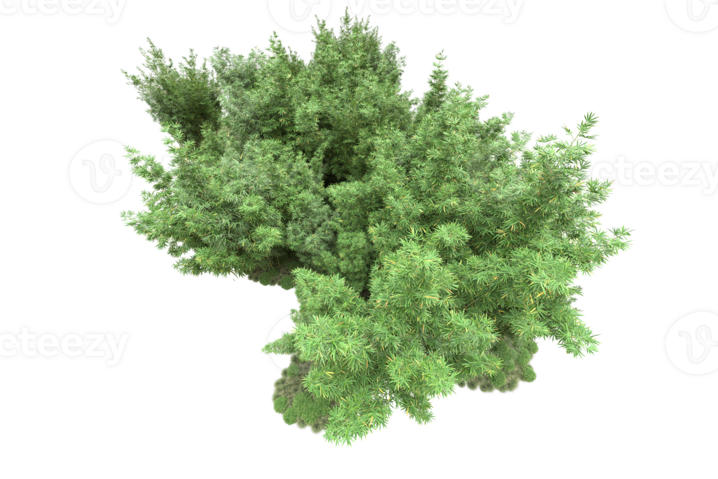Realistic forest isolated on transparent background. 3d rendering - illustration png