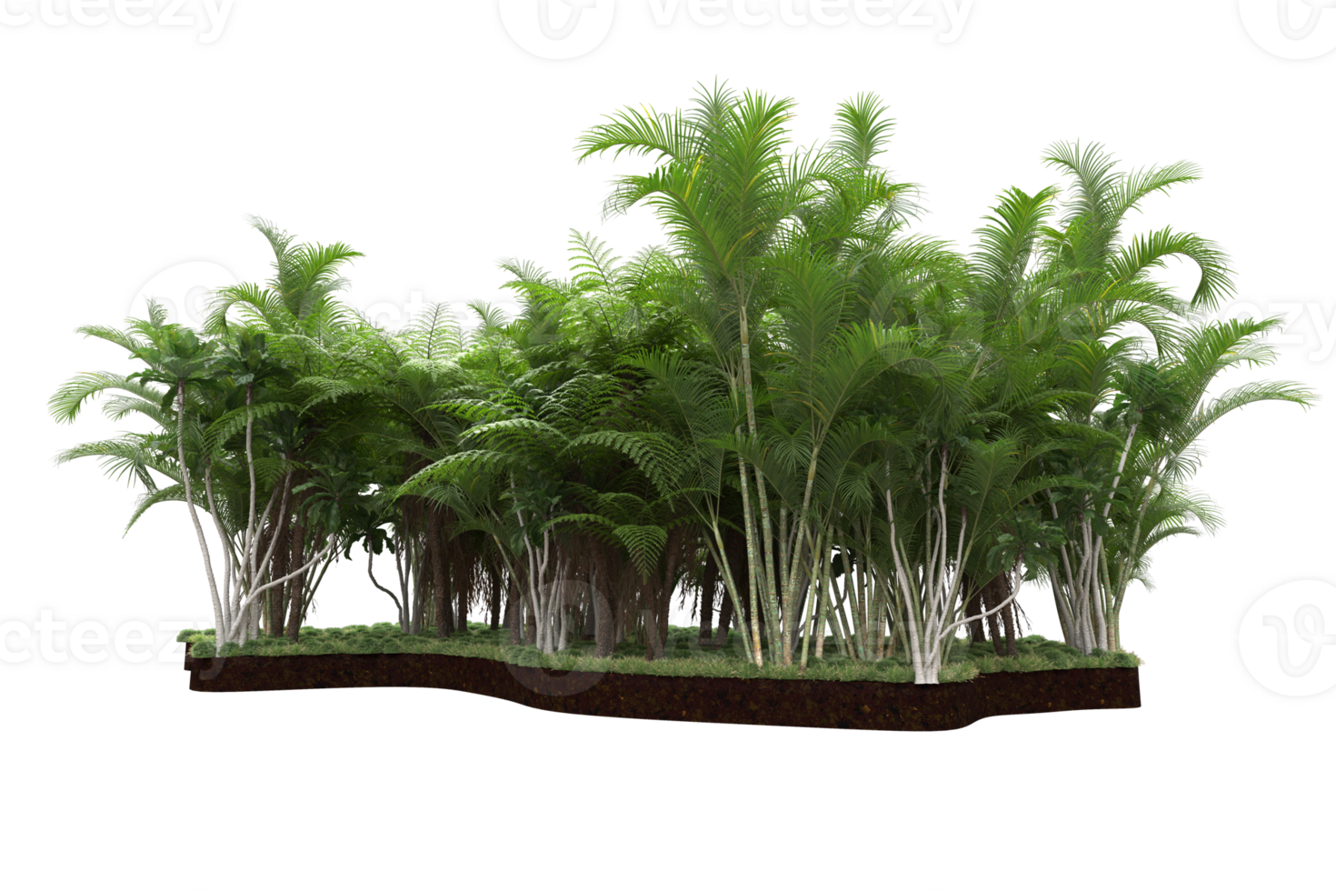 Realistic forest isolated on transparent background. 3d rendering - illustration png
