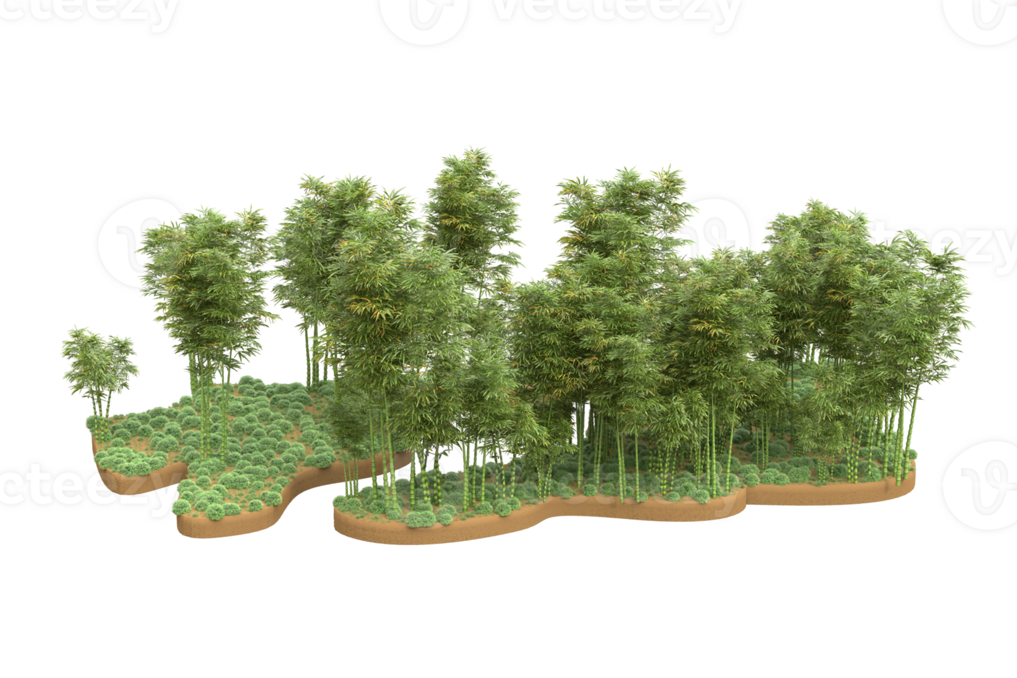 Realistic forest isolated on transparent background. 3d rendering - illustration png