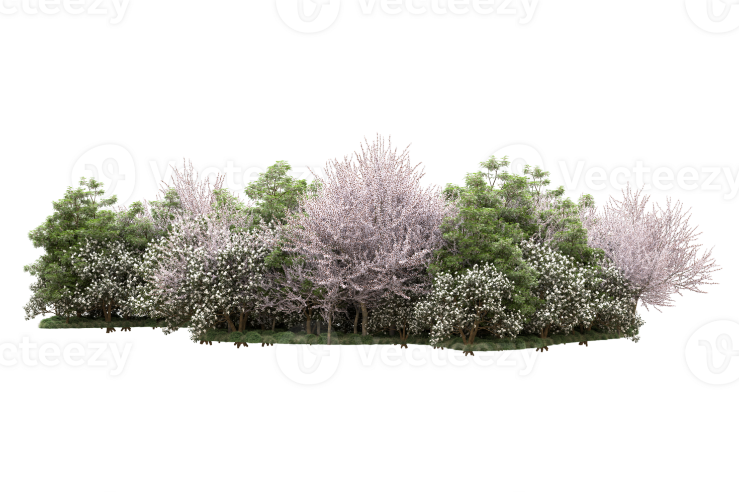 Realistic forest isolated on transparent background. 3d rendering - illustration png