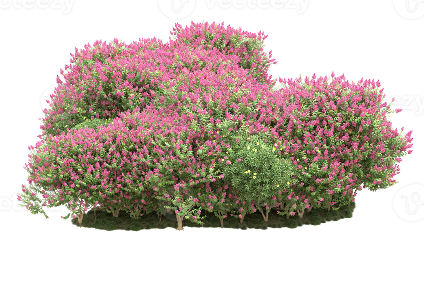 Realistic forest isolated on transparent background. 3d rendering - illustration png