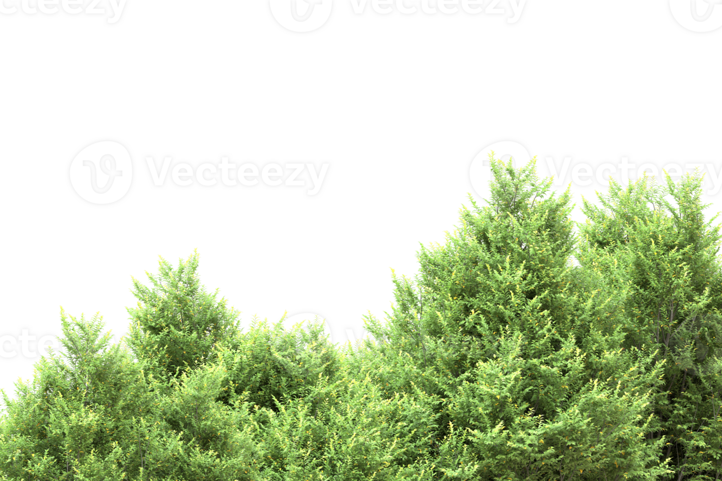Realistic forest isolated on transparent background. 3d rendering - illustration png