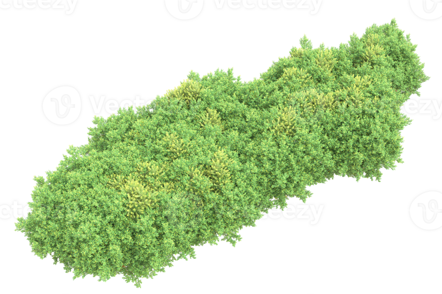 Realistic forest isolated on transparent background. 3d rendering - illustration png
