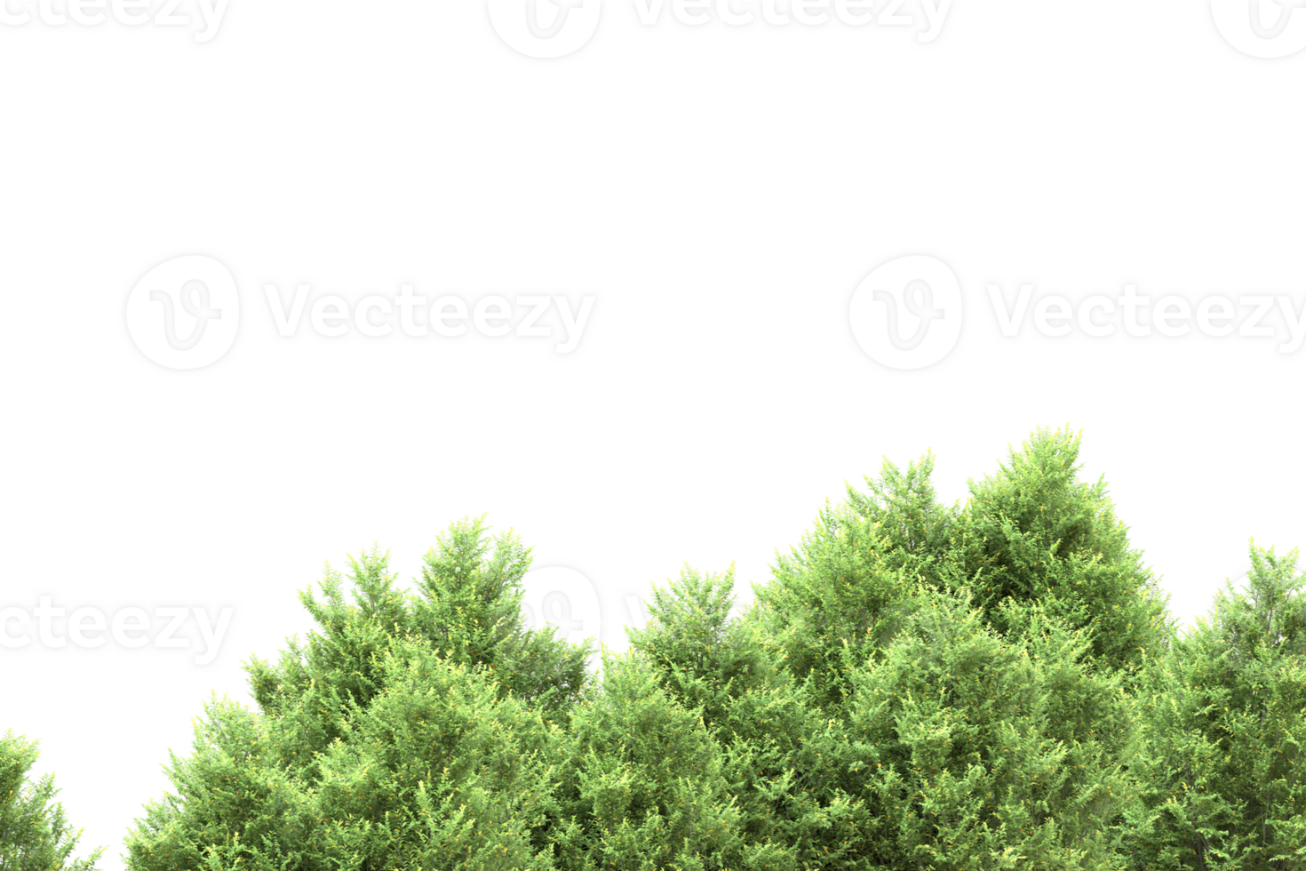 Realistic forest isolated on transparent background. 3d rendering - illustration png