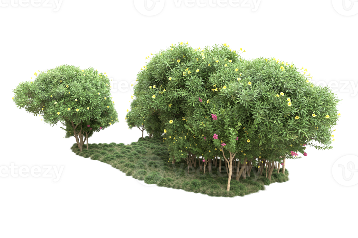 Realistic forest isolated on transparent background. 3d rendering - illustration png