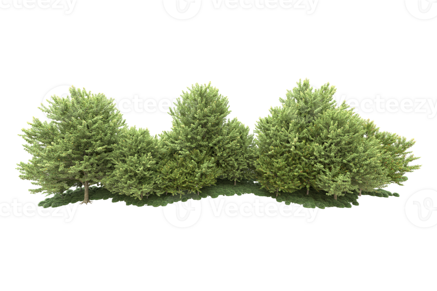 Realistic forest isolated on transparent background. 3d rendering - illustration png