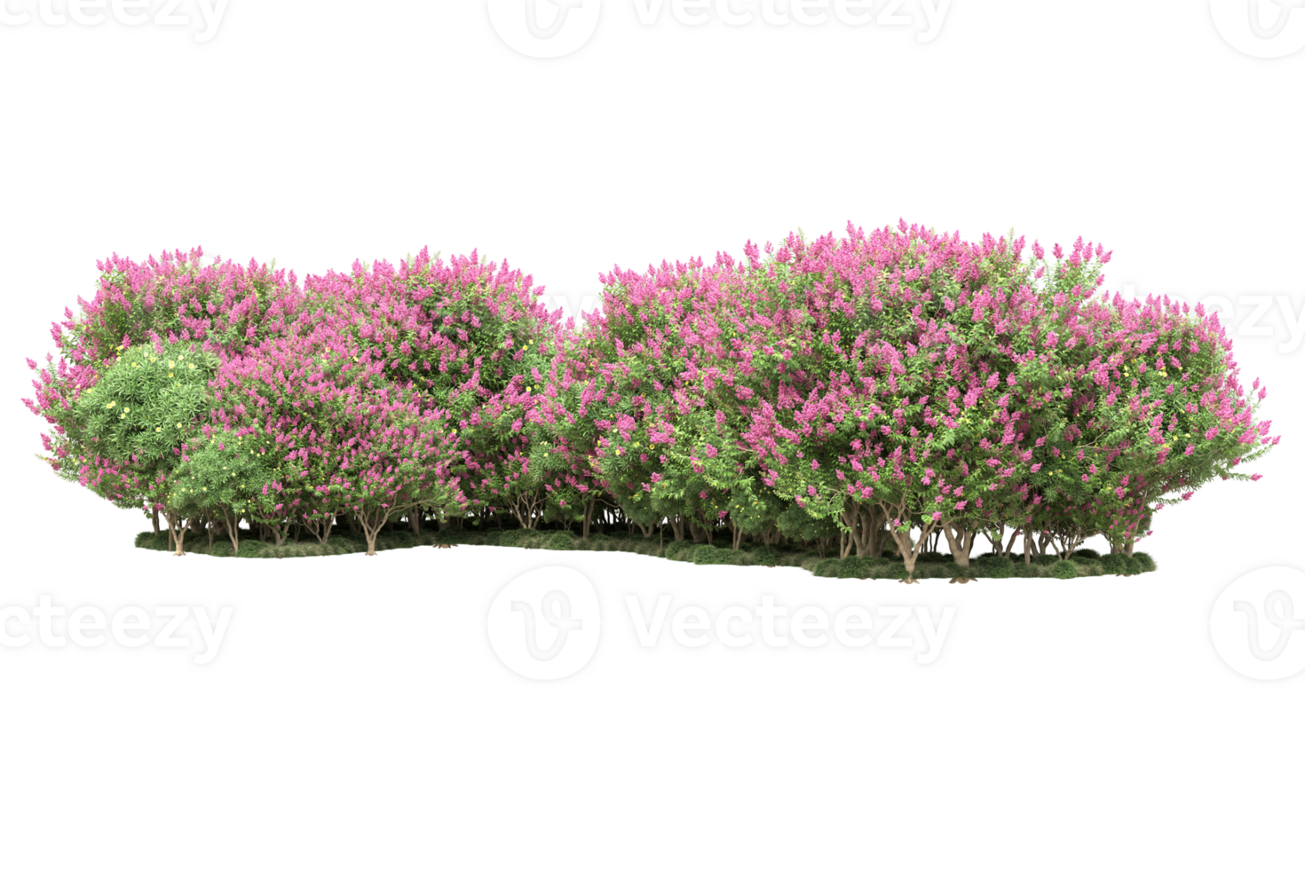 Realistic forest isolated on transparent background. 3d rendering - illustration png