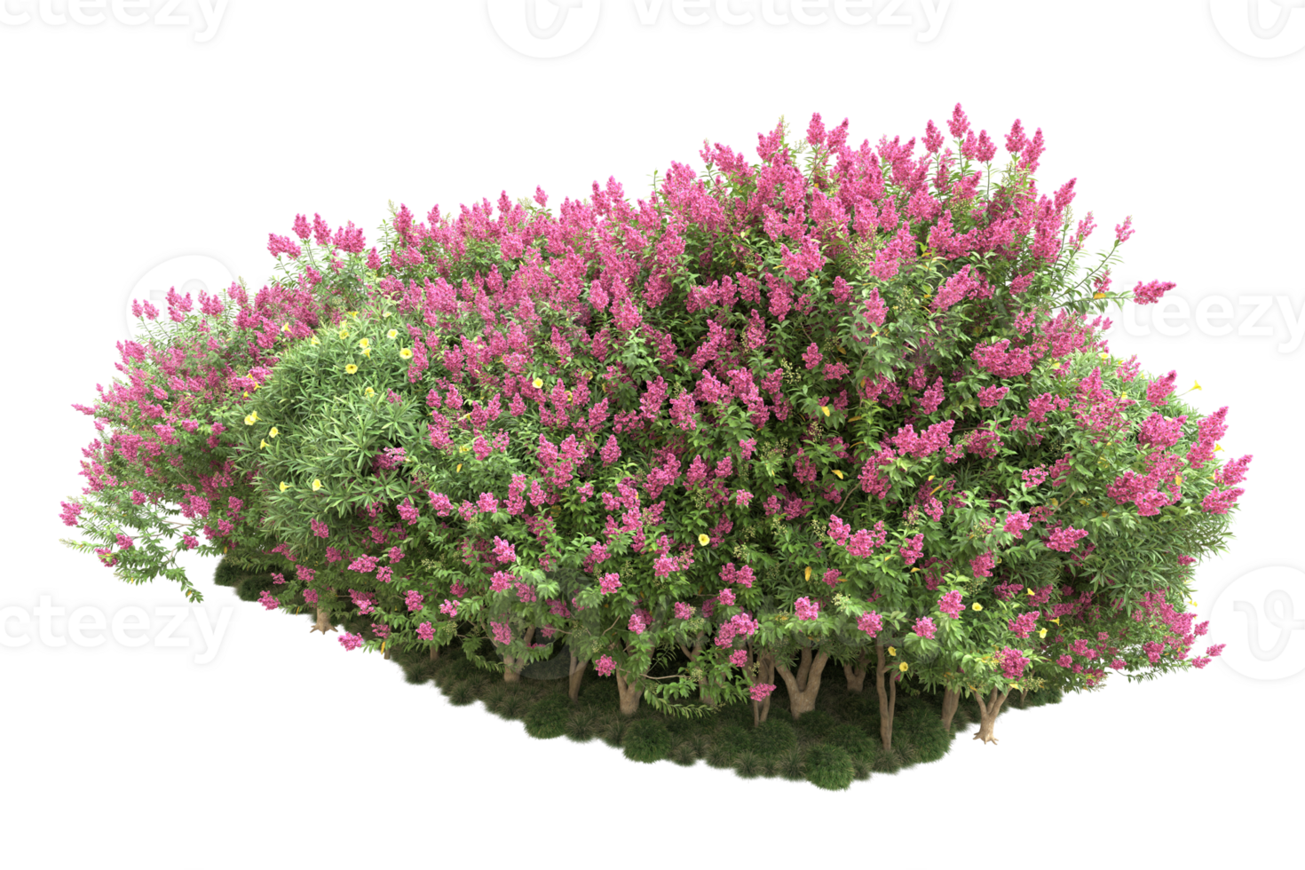 Realistic forest isolated on transparent background. 3d rendering - illustration png