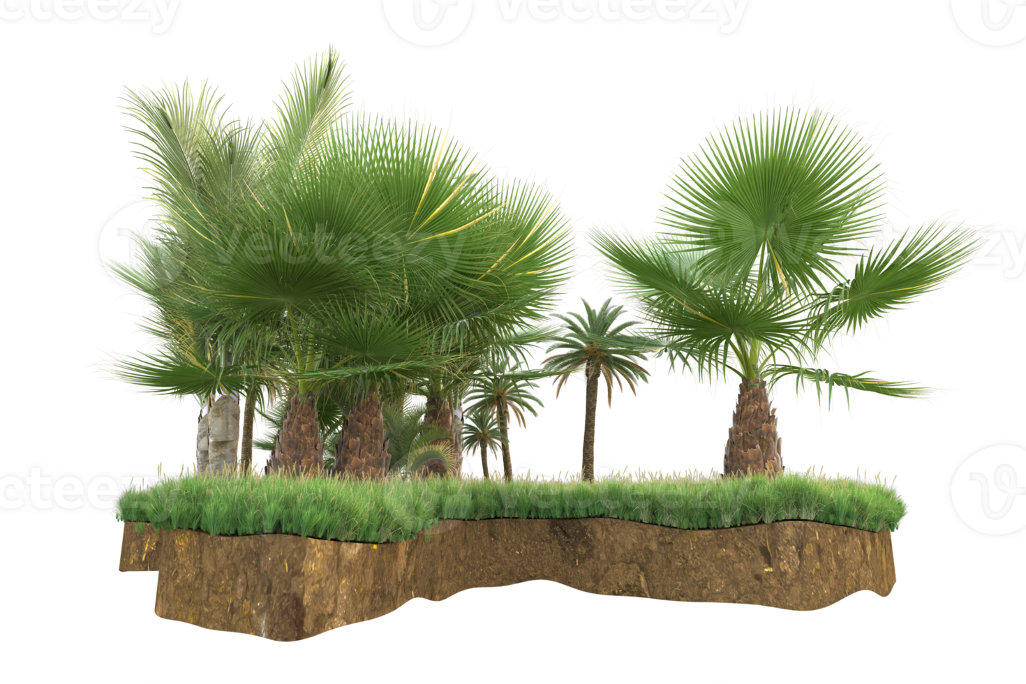 Realistic forest isolated on transparent background. 3d rendering - illustration png