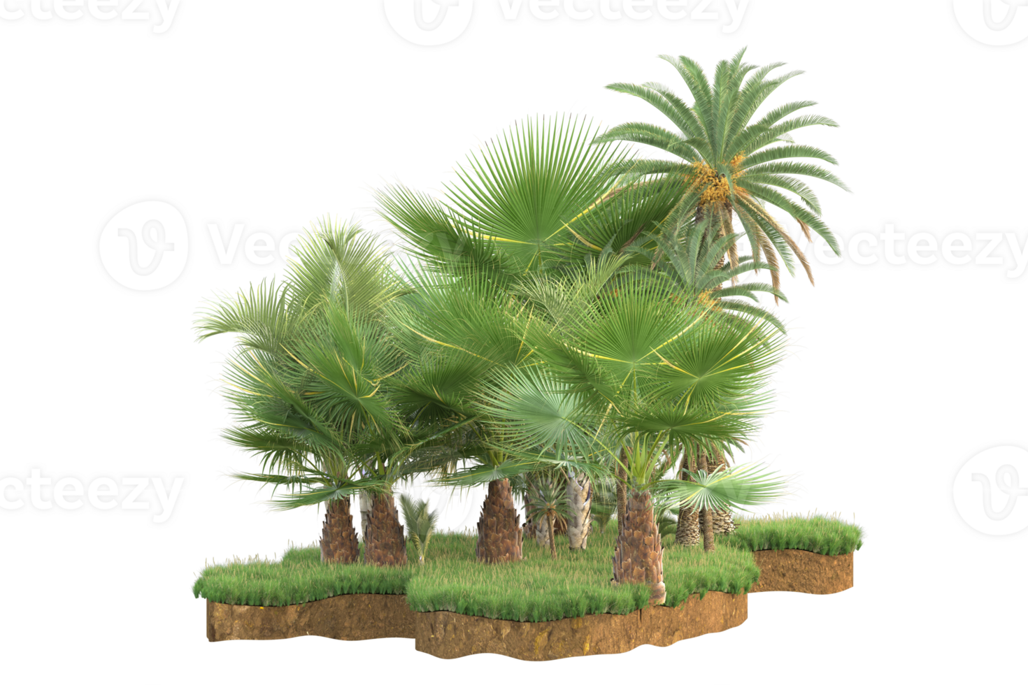 Realistic forest isolated on transparent background. 3d rendering - illustration png