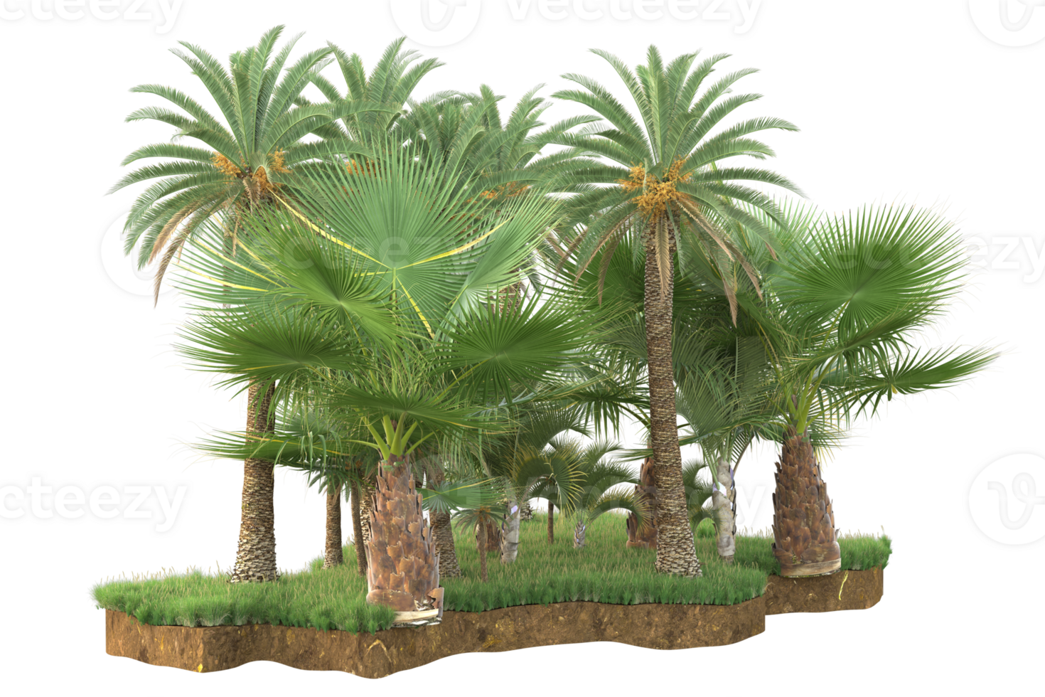 Realistic forest isolated on transparent background. 3d rendering - illustration png