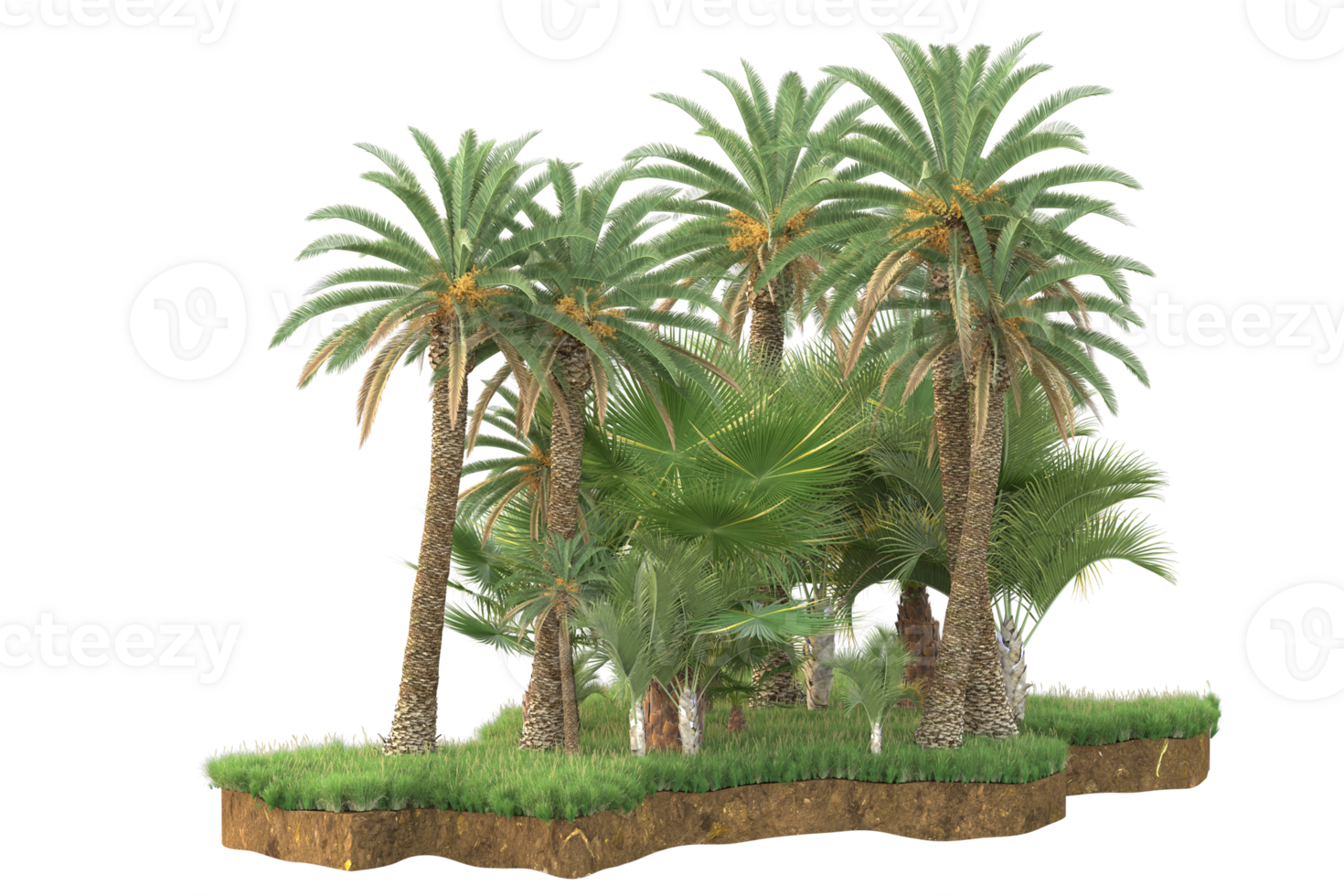 Realistic forest isolated on transparent background. 3d rendering - illustration png