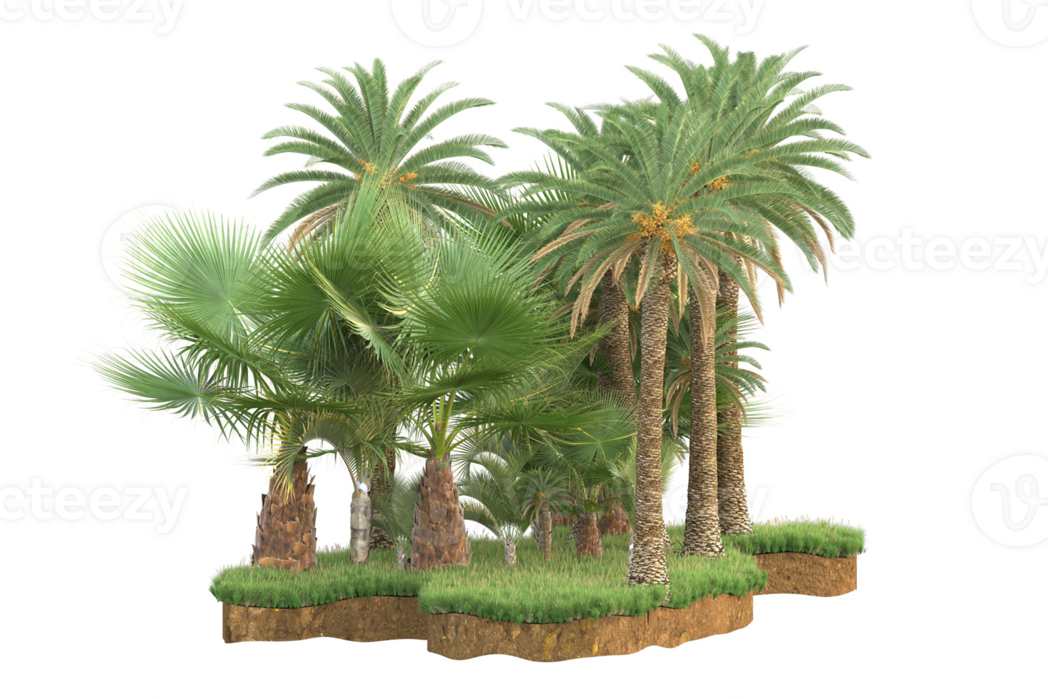 Realistic forest isolated on transparent background. 3d rendering - illustration png
